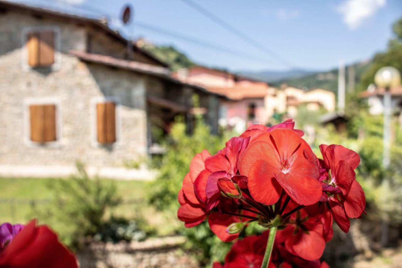 B&B La Casa D'Artista Ortignano Raggiolo Kültér fotó