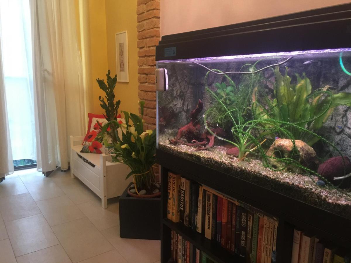 B&B La Casa D'Artista Ortignano Raggiolo Kültér fotó